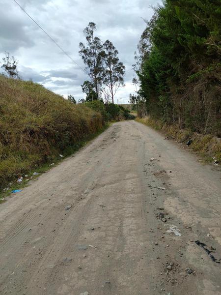 Vendo Terreno de 26000 m² en La Tolita a 1 Km de La Ruta Viva, Gran Vista — imagen 3