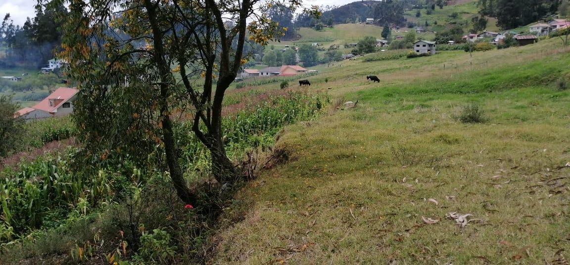 Vendo Terreno 13.000 m² con Casa en San Miguel del Valle, Azuay — imagen 5