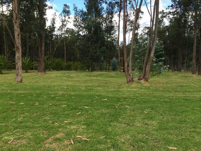 Espectacular Terreno de Venta en Urbanización Exclusiva en Puembo — imagen 5