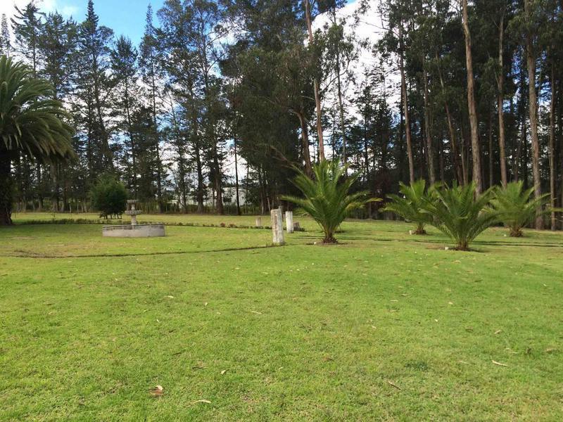 Espectacular Terreno de Venta en Urbanización Exclusiva en Puembo — imagen 3