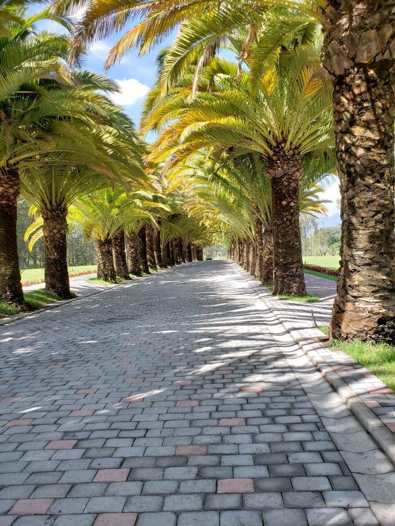 Venta Puembo Hermoso Terreno Urbanización Lujo Naturaleza — imagen 3