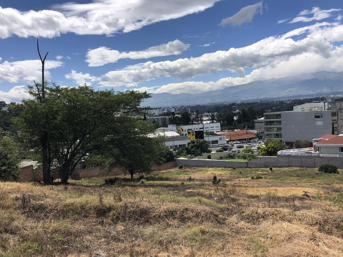 Terreno de Venta Dentro de La Urbanización Cumbres del Valle en Cumbayá — imagen 5