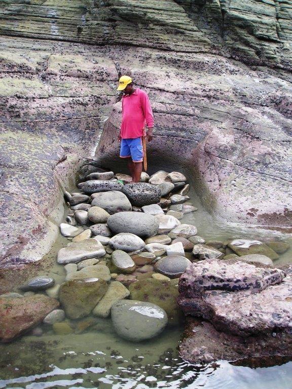 Venta 150 Has en Playa Esmeraldas Muisne — imagen 5