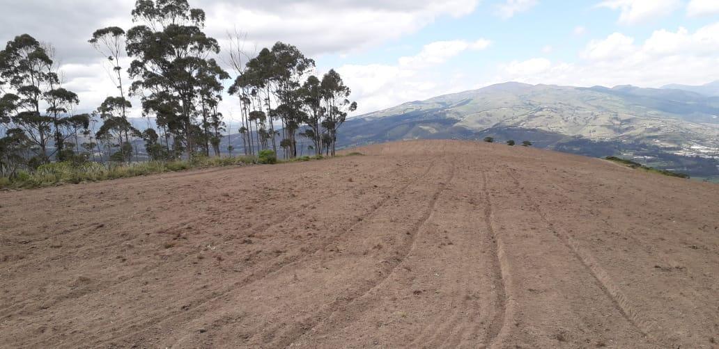Re/max Futuro Vende Finca de 61 Has Proyecto Lotizacion/agro en Cochasqui — imagen 4