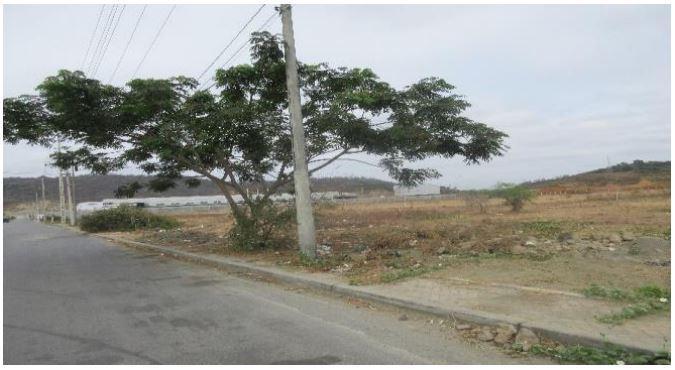 Venta de Terreno, Km 30 Vía a Daule, Lote #5, Guayas — imagen 5