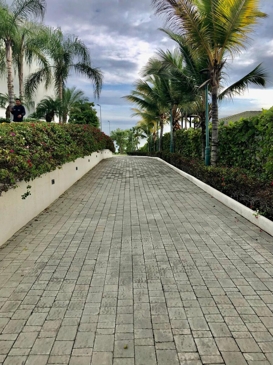 Vendo Terreno 370 m² Primeros Kms. Ruta Spondylus, Urbanización Privada, Club S. Provincia de Santa Elena — imagen 3