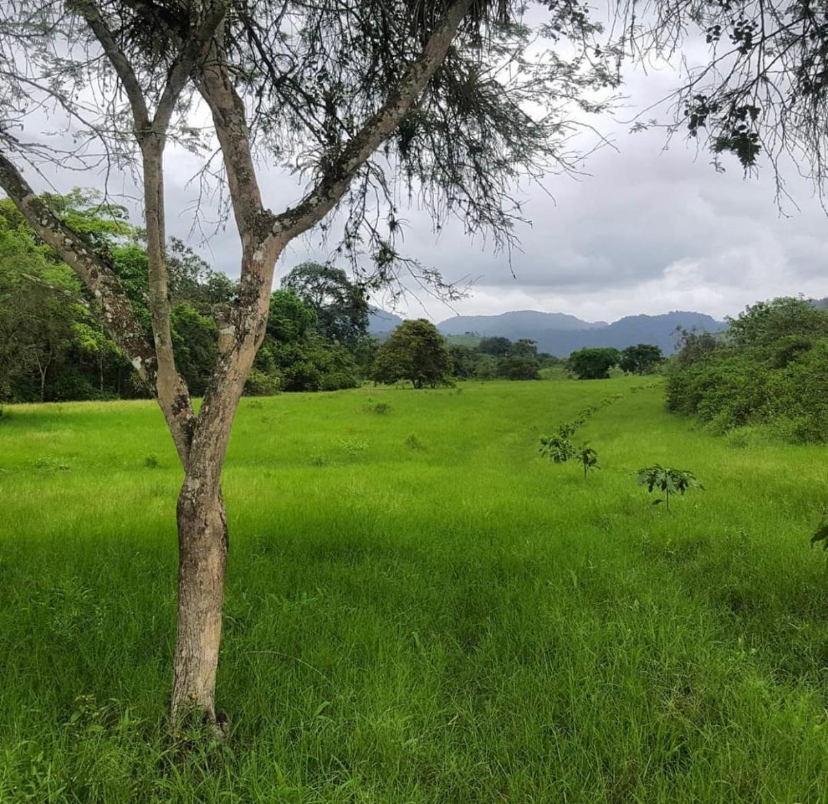 Venta de Terreno en Quintas Río Olón — imagen 4