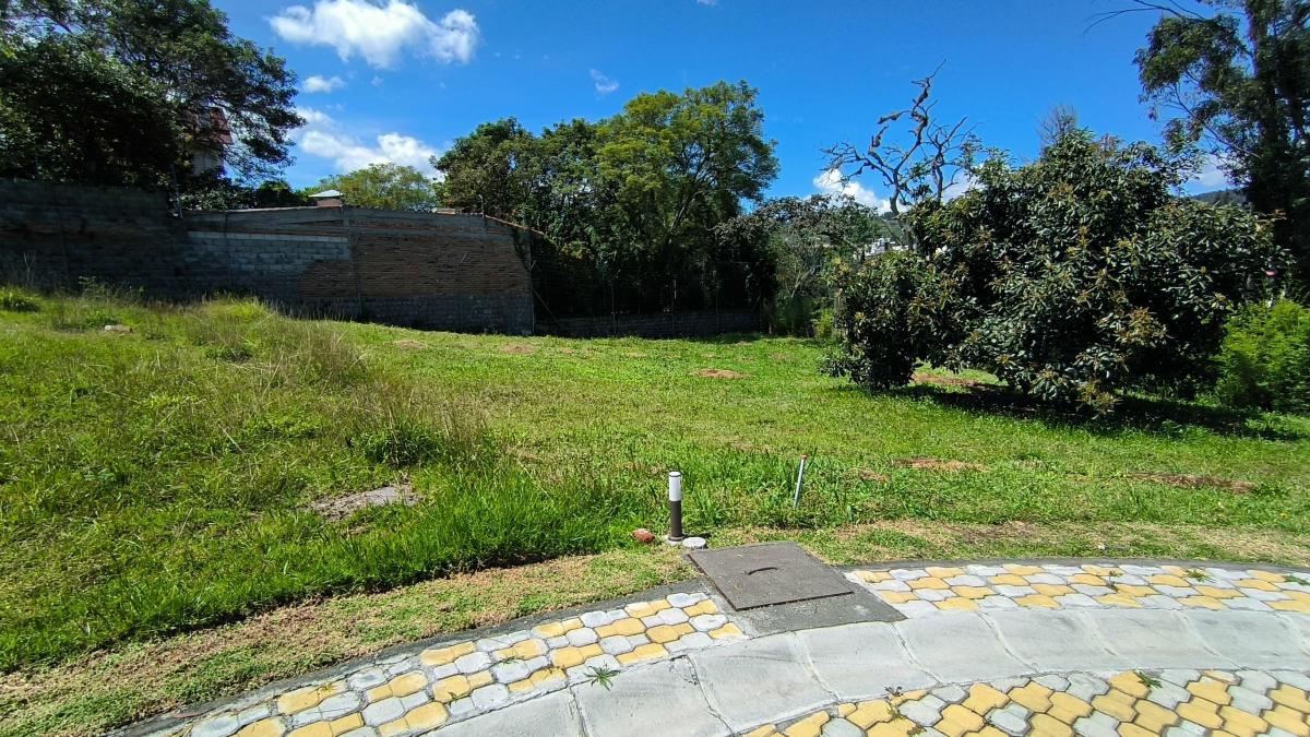 En Venta Lote Dentro de Urbanizacion de 603 m² en La Morita - Tumbaco — imagen 5
