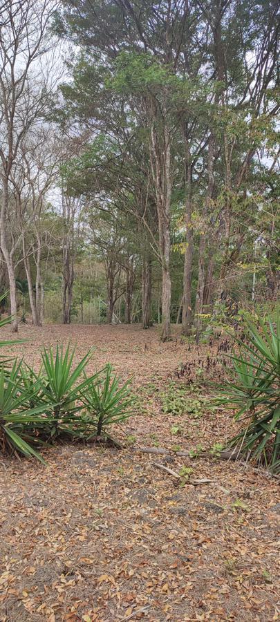 Playa Escondida Hermoso Terreno en Lotización Ecológica — imagen 5