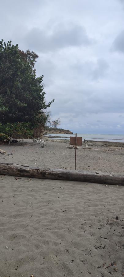 Playa Escondida Hermoso Terreno en Lotización Ecológica — imagen 3