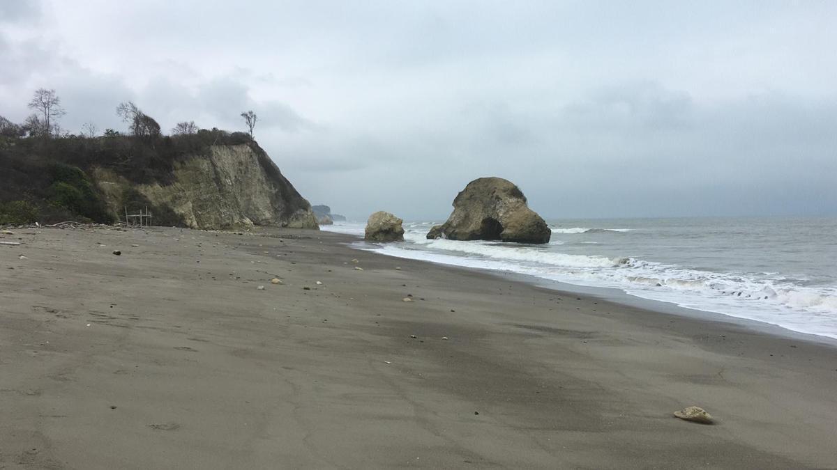 Espectacular Terreno de Venta Entre Jama y Pedernales, Manabí — imagen 4