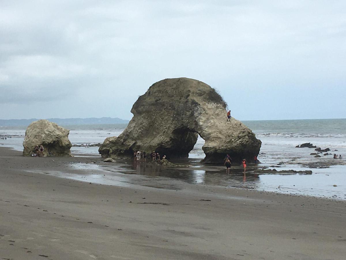 Espectacular Terreno de Venta Entre Jama y Pedernales, Manabí — imagen 3
