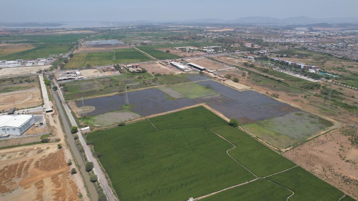 Venta de Terreno en Buijo Cantón Samborondón - H. Rios, Guayas — imagen 5