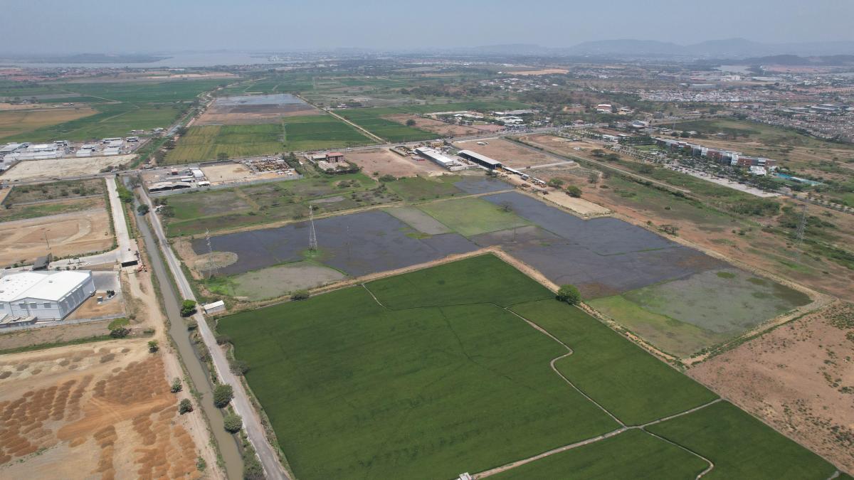 Venta de Terreno en Buijo Cantón Samborondón - H. Rios, Guayas — imagen 4