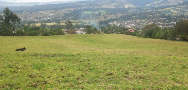 Terreno en Venta, Valle de Los Chillos, Amaguaña — imagen 3