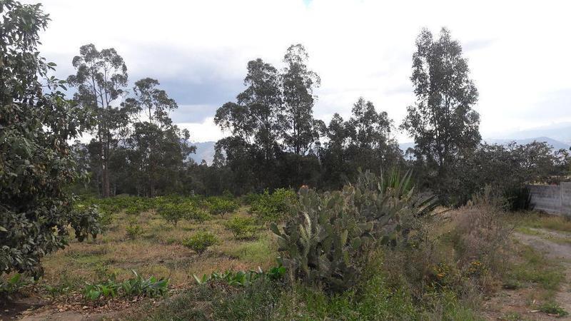 Terreno Residencial 1, en Venta, San Antonio, Quito — imagen 3