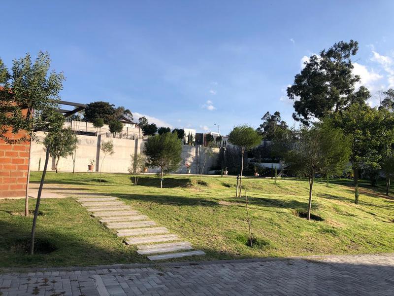 Vendo Terreno de 8300 m² en Sector La Morita en Tumbaco y Construcción — imagen 5