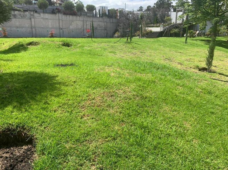 Vendo Terreno de 8300 m² en Sector La Morita en Tumbaco y Construcción — imagen 4