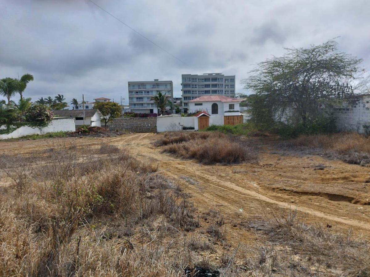 Oportunidad Terreno en Punta Blanca - A. Blum — imagen 3