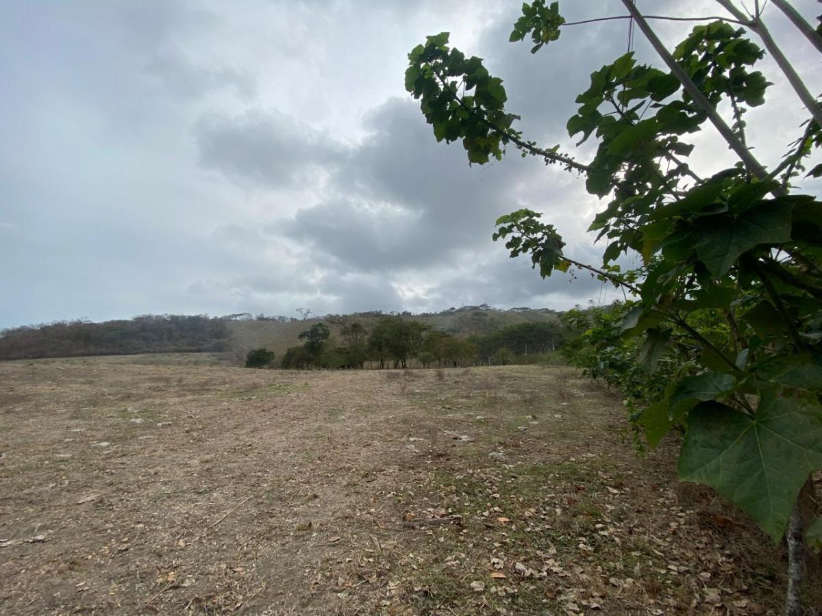 Venta de Terrenos 6 Has en Sector La Cabuya Via Jama Pedernales, Manabí — imagen 3