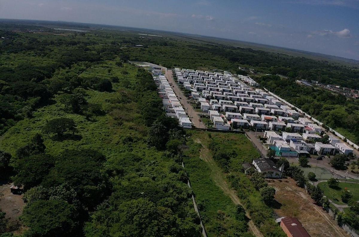 Vendo Terreno 5.5 Ha Km 20 Vía a La Costa - Leo Villegas, Guayas — imagen 3