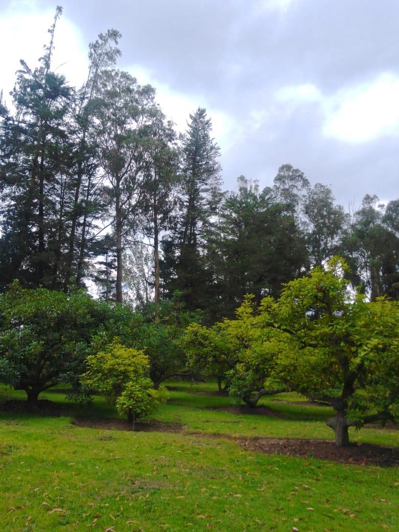 Se Vende Hacienda Guayllabamba, 17 Has 170.000 m² Varias Casas — imagen 5