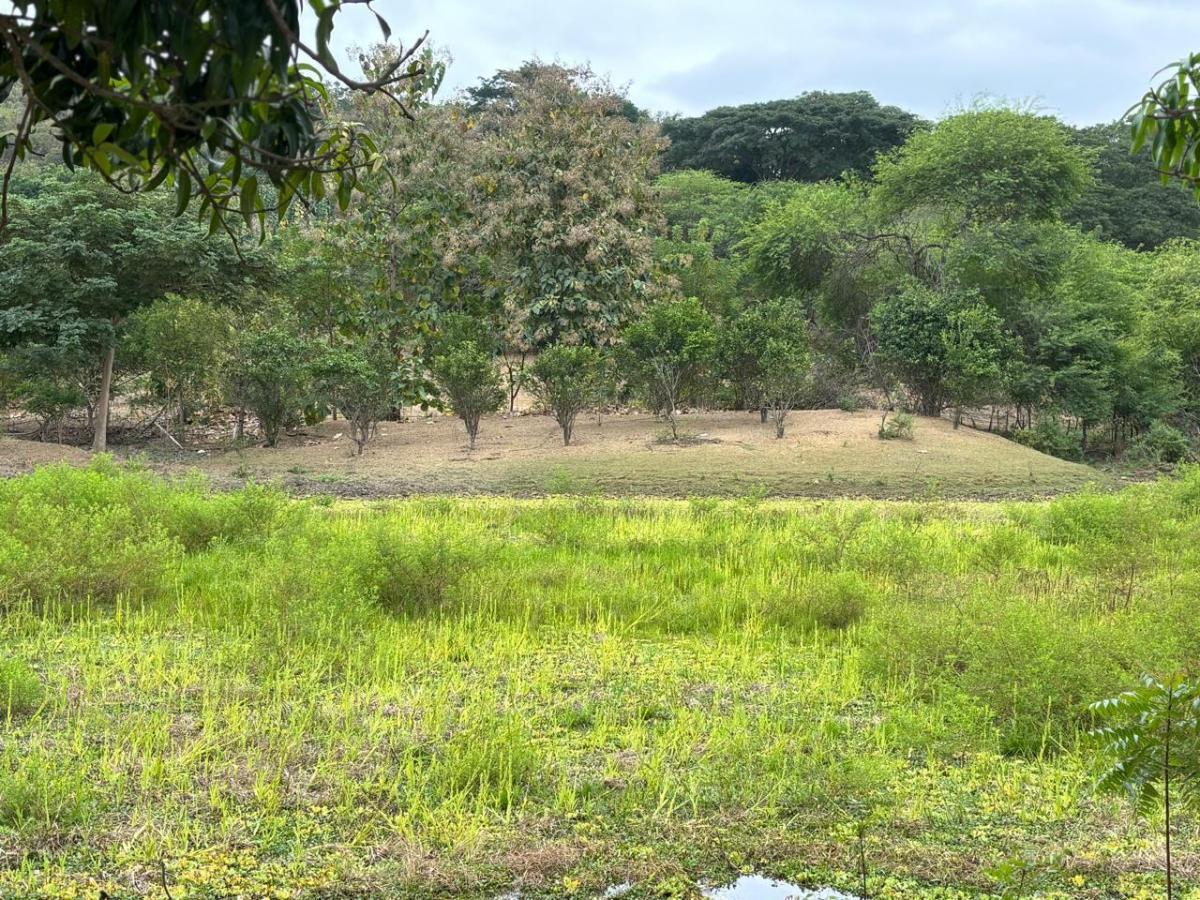 Vendo Propiedad en Vía a La Costa, Consuelo, Al Pie de La Via, Guayas — imagen 5