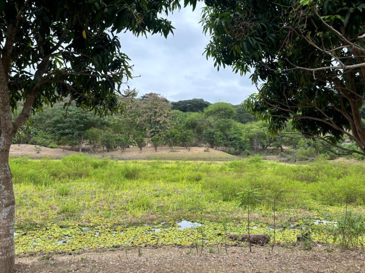 Vendo Propiedad en Vía a La Costa, Consuelo, Al Pie de La Via, Guayas — imagen 4