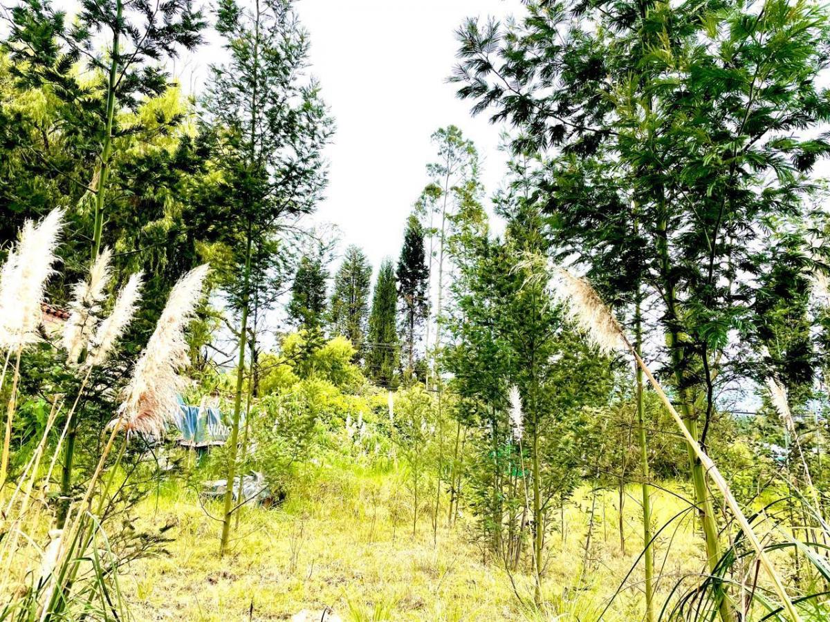 Terreno en Venta Exclusivo Sector: San Joaquin, Azuay — imagen 5