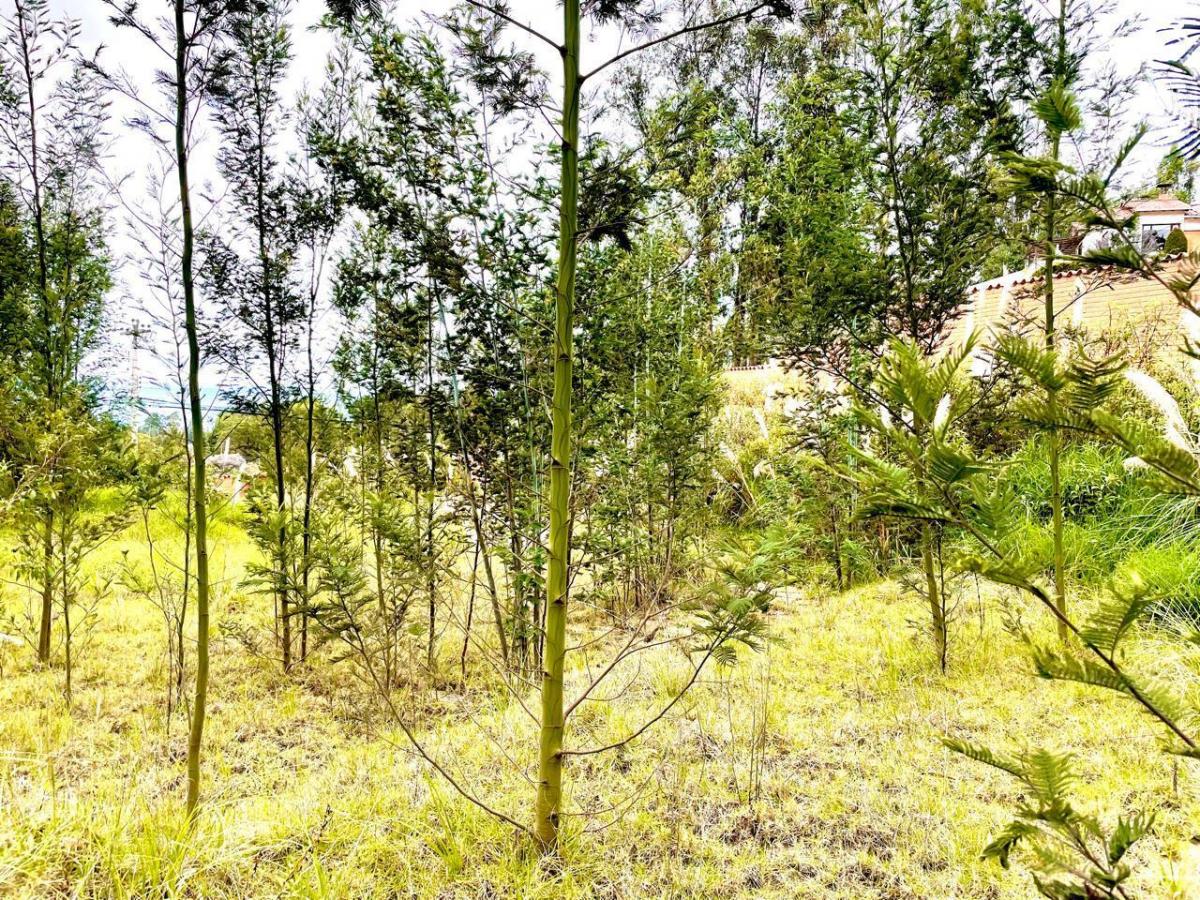 Terreno en Venta Exclusivo Sector: San Joaquin, Azuay — imagen 4