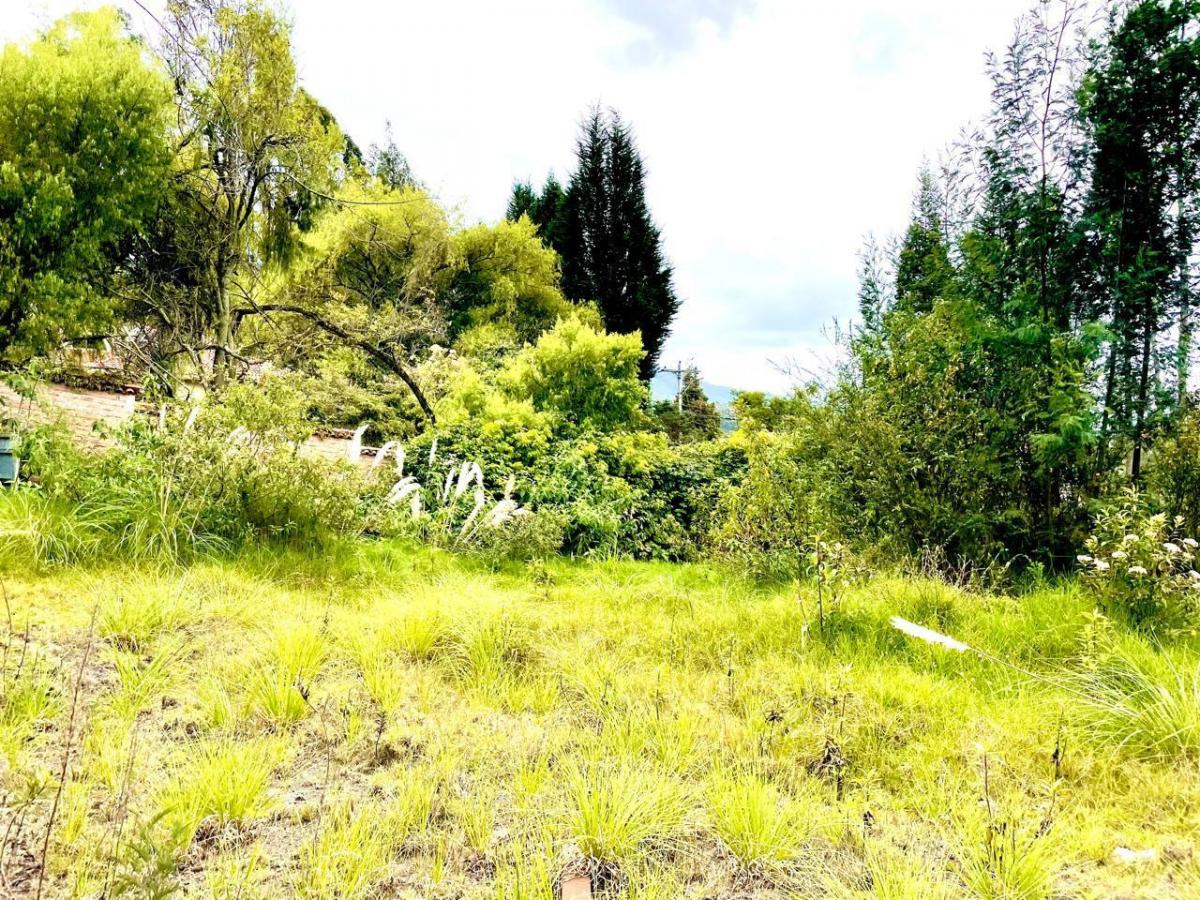 Terreno en Venta Exclusivo Sector: San Joaquin, Azuay — imagen 3