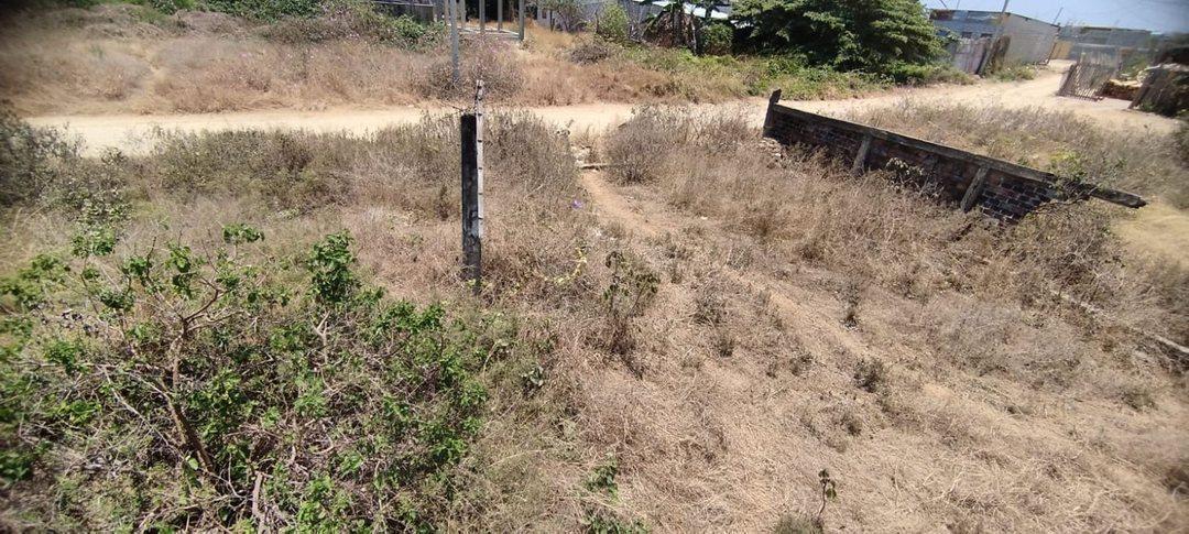 Terreno en Las Gaviotas, Playas Villamil R. Hurtado, Guayas — imagen 5