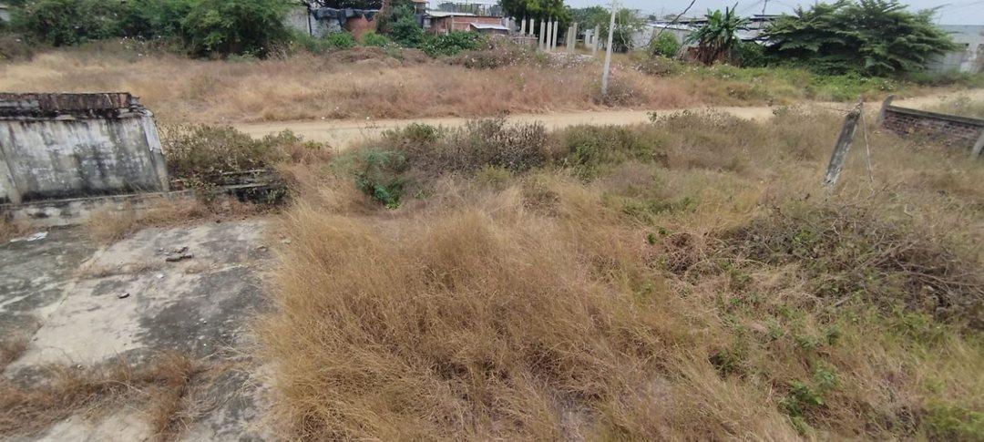 Terreno en Las Gaviotas, Playas Villamil R. Hurtado, Guayas — imagen 3