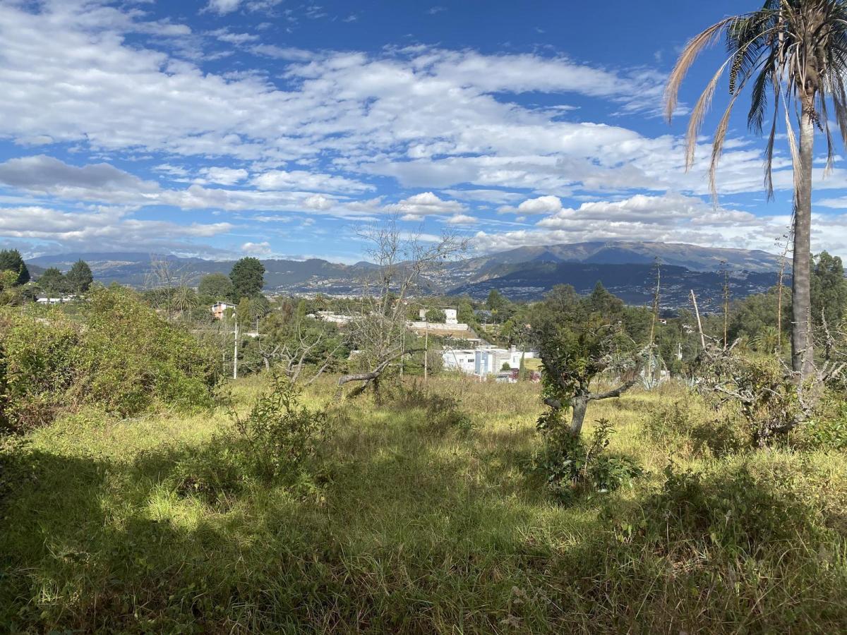 Terreno de Venta en Puembo, Empezando La Recta de La Vía a Arrayanes. Amplia Plusvalía — imagen 10