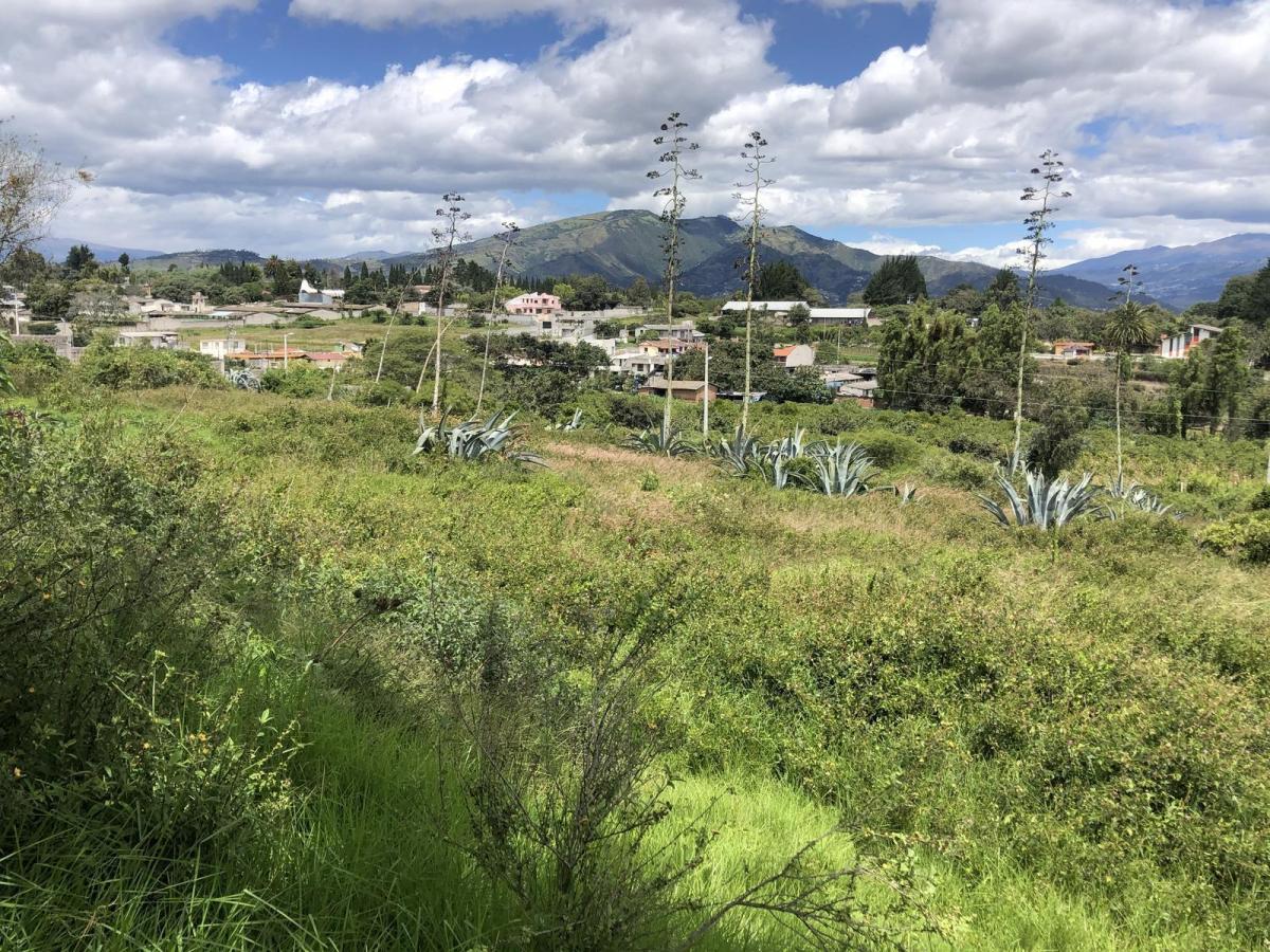 Terreno de Venta en Puembo, Empezando La Recta de La Vía a Arrayanes. Amplia Plusvalía — imagen 9