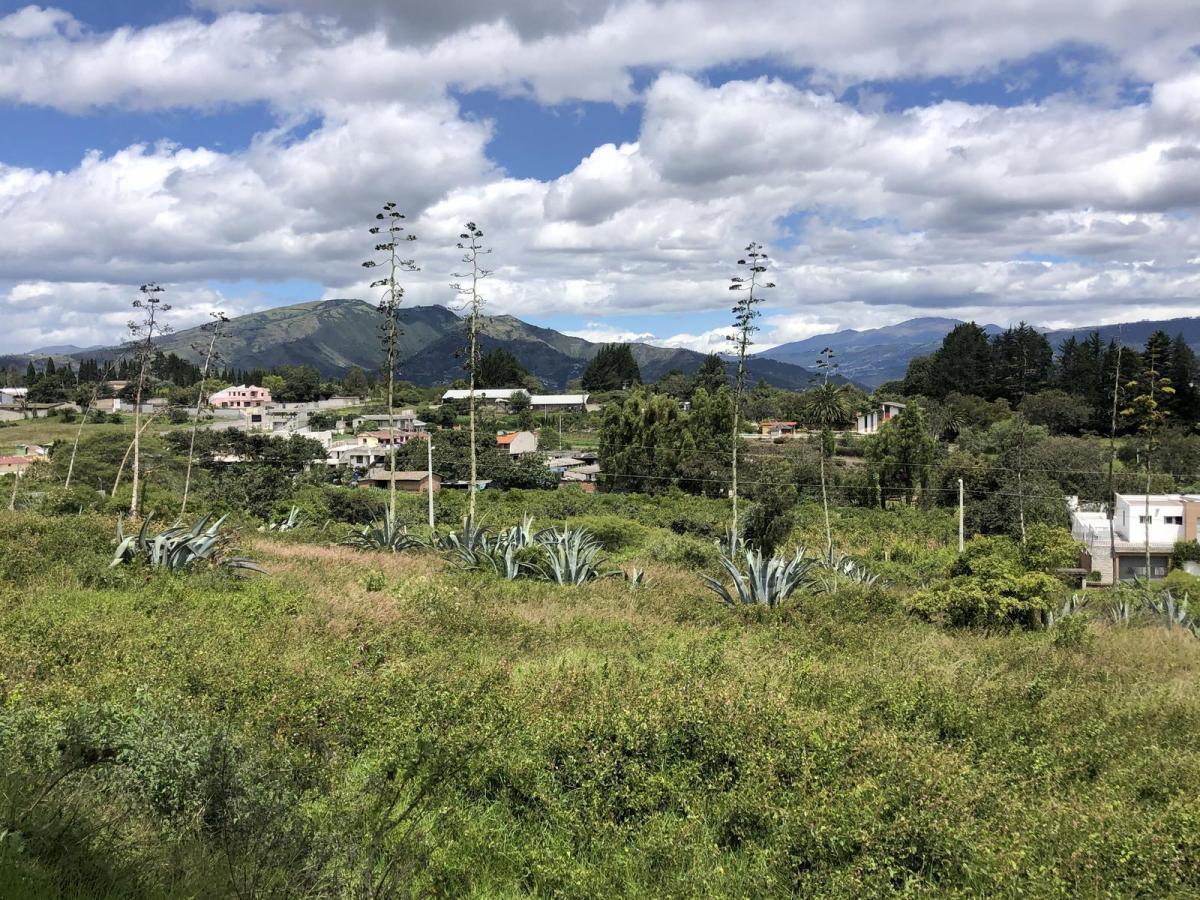 Terreno de Venta en Puembo, Empezando La Recta de La Vía a Arrayanes. Amplia Plusvalía — imagen 7