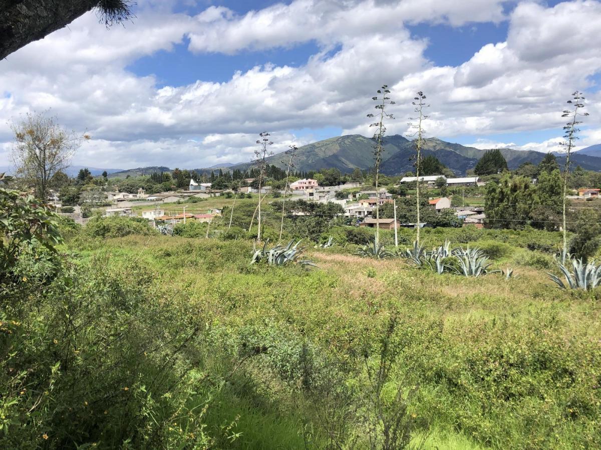 Terreno de Venta en Puembo, Empezando La Recta de La Vía a Arrayanes. Amplia Plusvalía — imagen 6