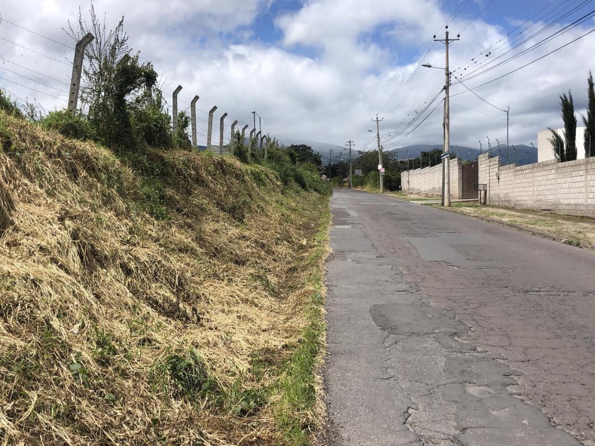 Terreno de Venta en Puembo, Empezando La Recta de La Vía a Arrayanes. Amplia Plusvalía — imagen 3