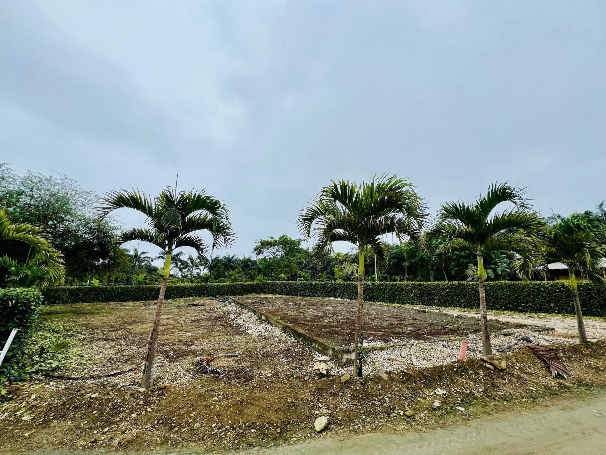 Terreno 636 m en Lotizacion, Ayampe, Manabí, Manabí — imagen 4