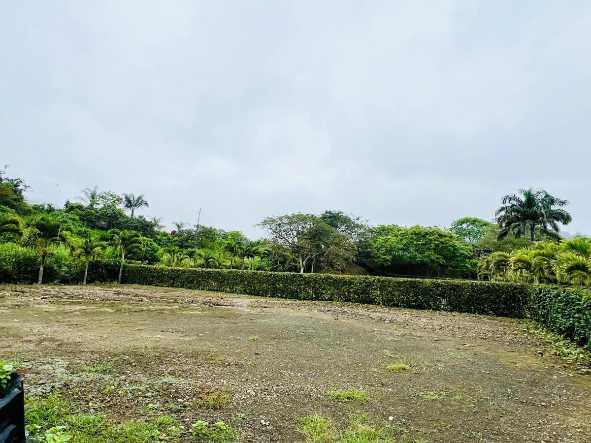 Terreno 700 m en Ayampe, Manabí — imagen 4
