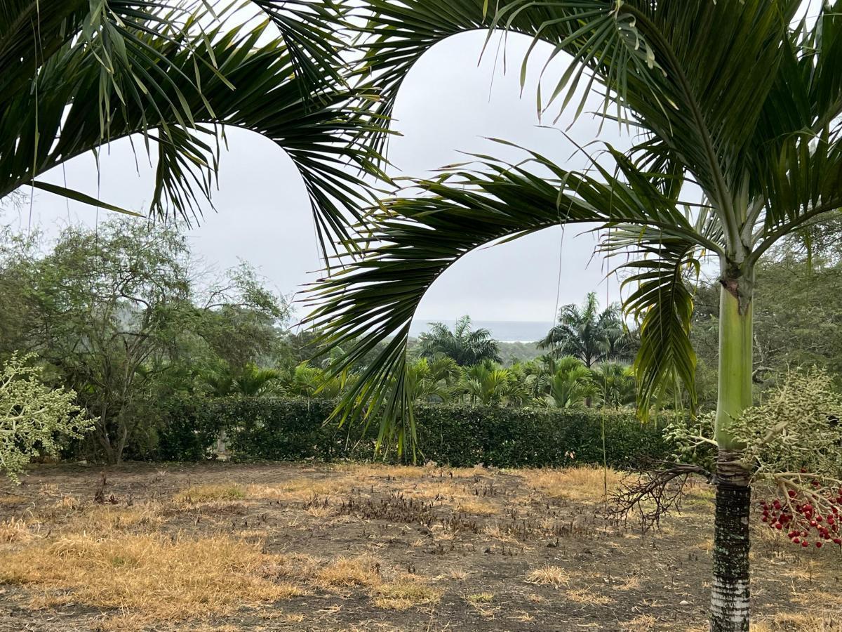 Terreno Vista Al Mar Ayampe, Manabí — imagen 5