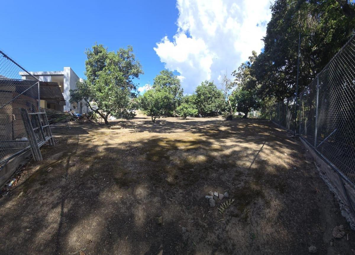 Vendo Lindo Terreno Plano - en Puembo Buen Entorno Cerca a Urbanizaciones — imagen 5