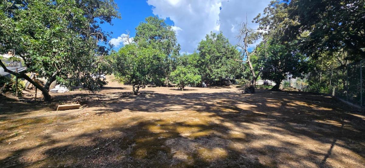 Vendo Lindo Terreno Plano - en Puembo Buen Entorno Cerca a Urbanizaciones — imagen 3