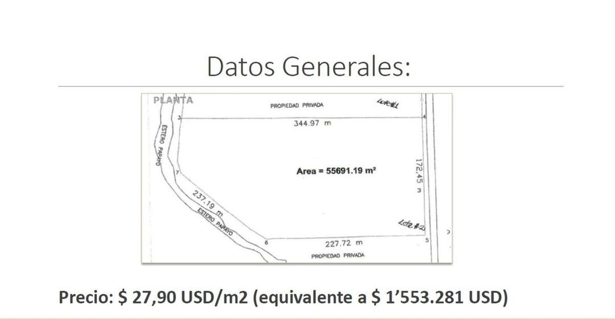 Km 13.5 Via Al Pan Entre Tropicalfruit y Okbanana A. Blum, Guayas — imagen 5