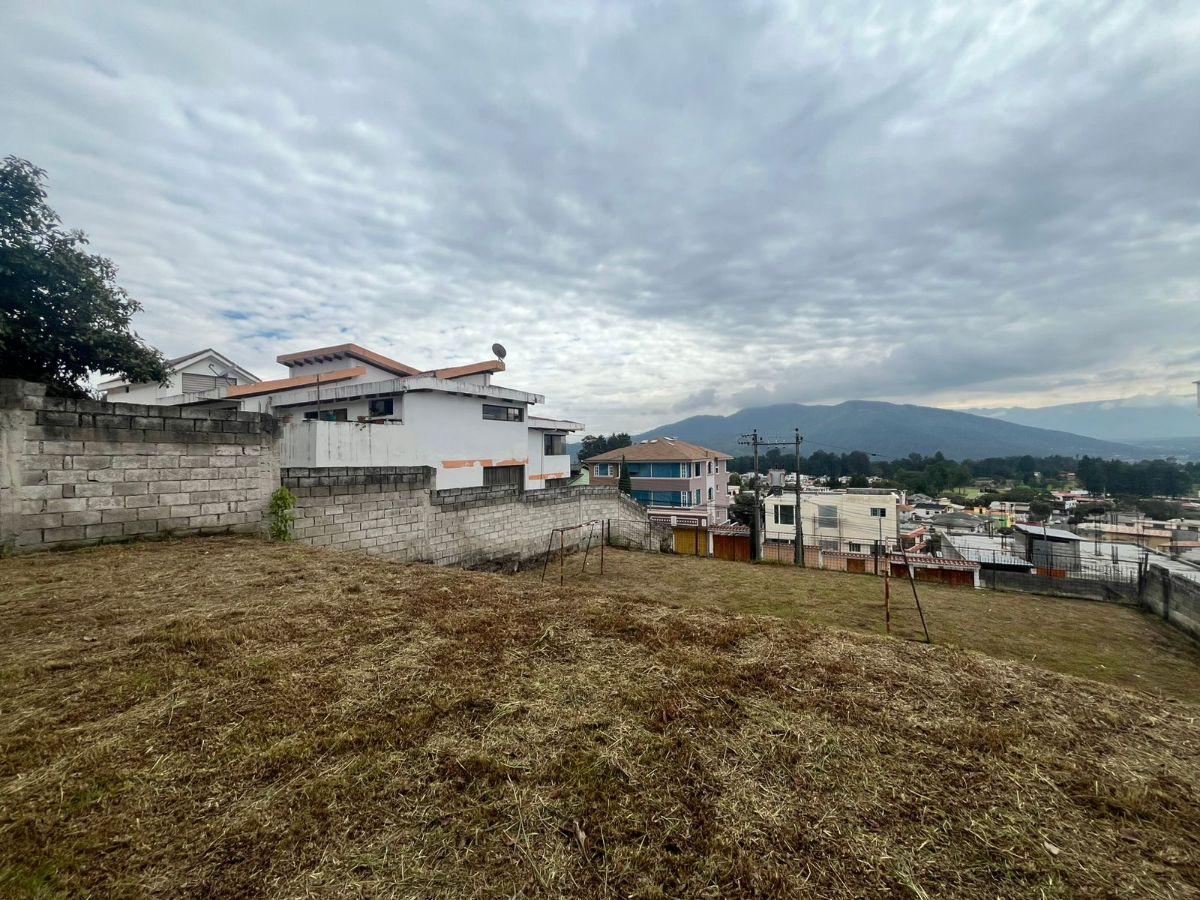 Terreno 480 m², Sector La Armenia, Los Arupos — imagen 5