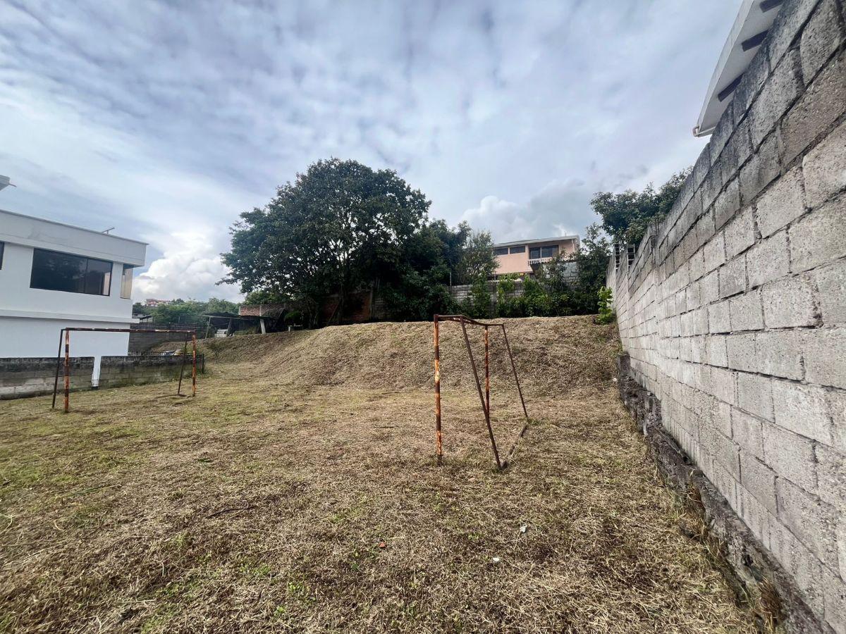 Terreno 480 m², Sector La Armenia, Los Arupos — imagen 3