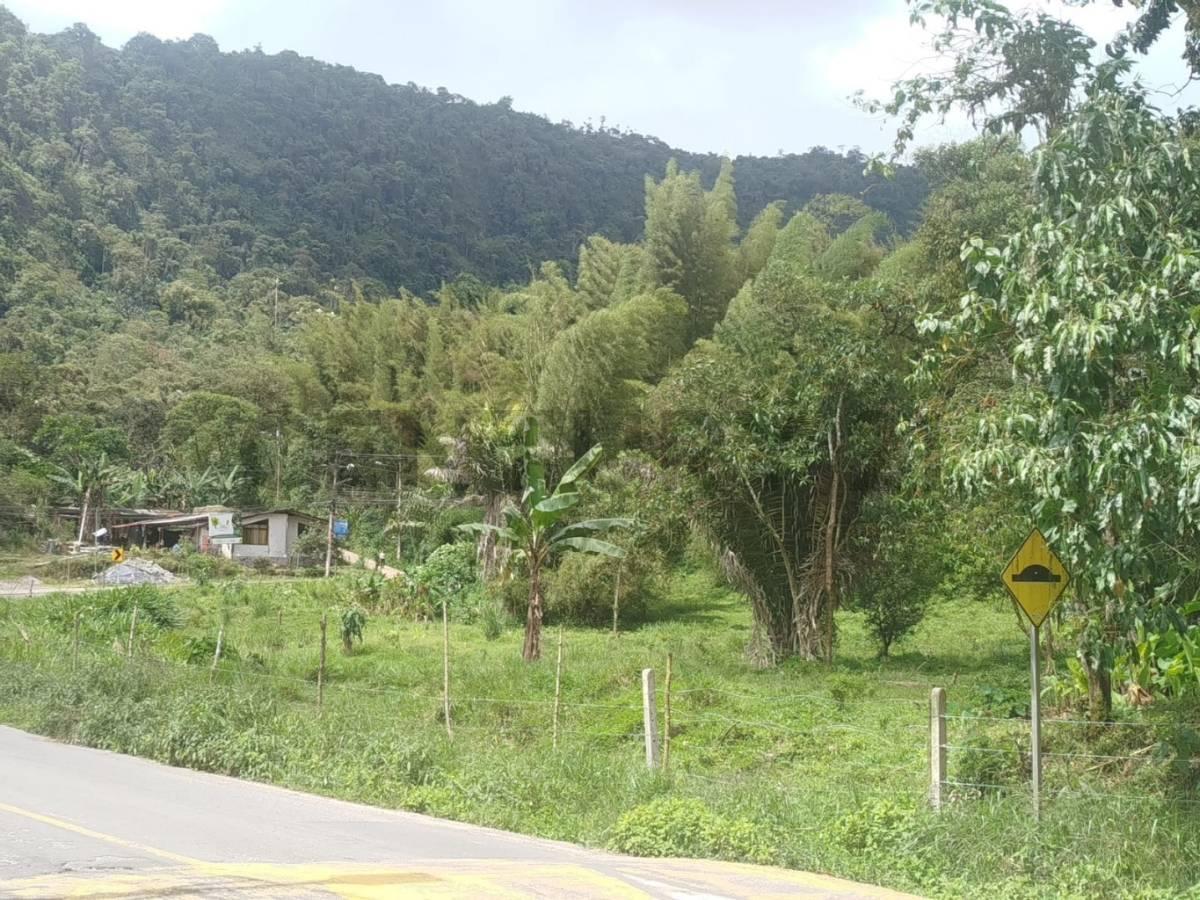 Se Vende Lotes de Terreno Sobre Via Principal Mindo — imagen 5