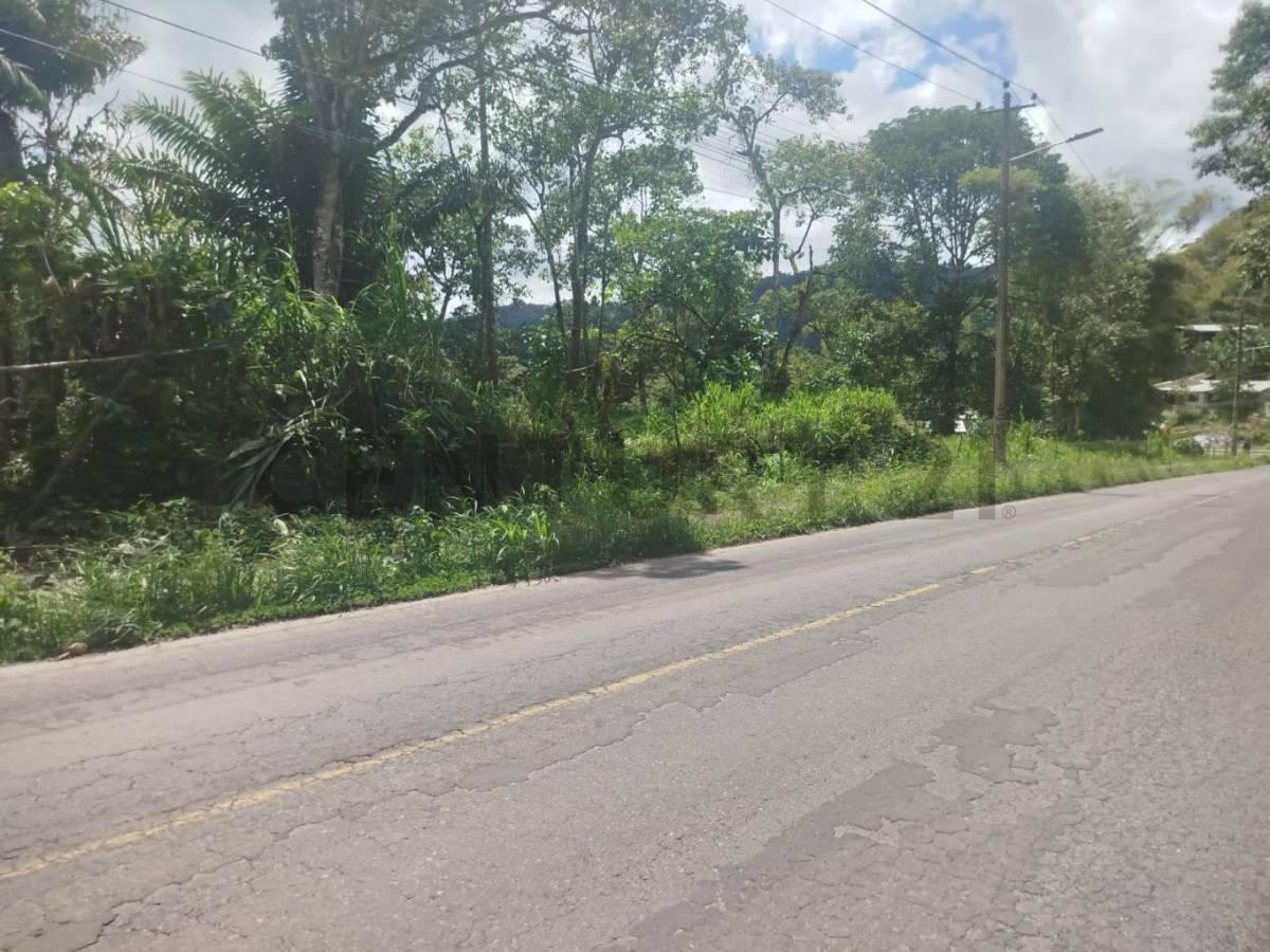 Se Vende Lotes de Terreno Sobre Via Principal Mindo — imagen 4