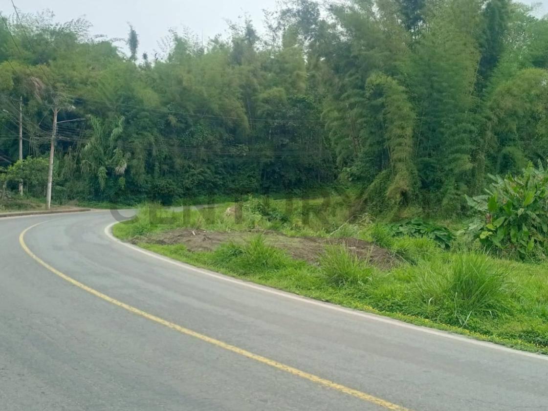 Se Vende Lotes de Terreno Sobre Via Principal Mindo — imagen 3