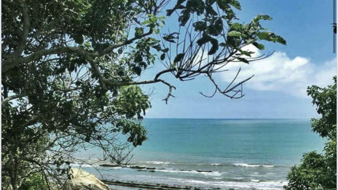 Departamento de 2 Dorm., Jama – Manabí, Manabí — imagen 5